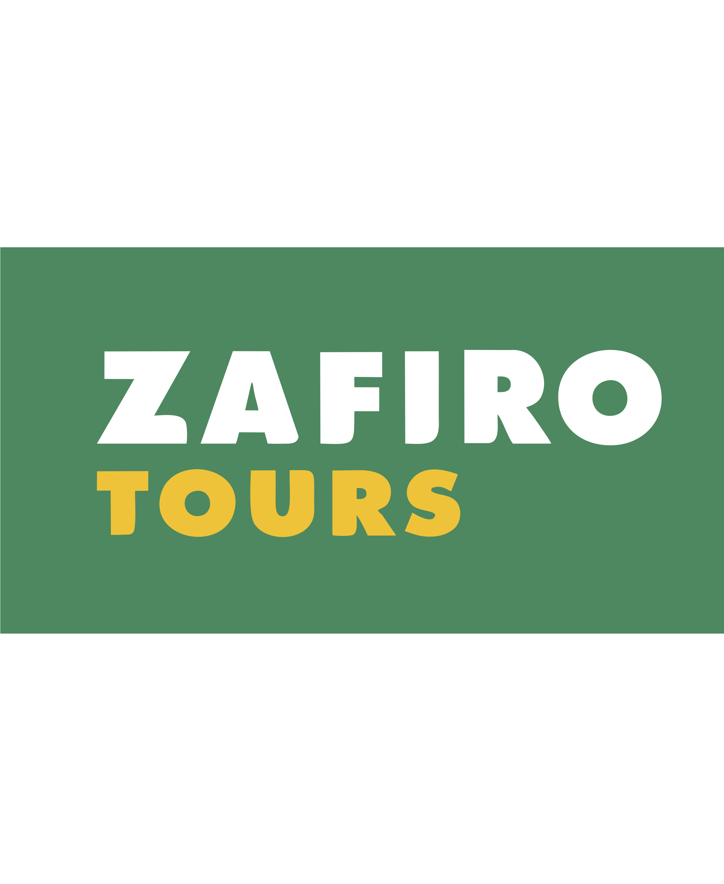 ZAFIRO TOURS