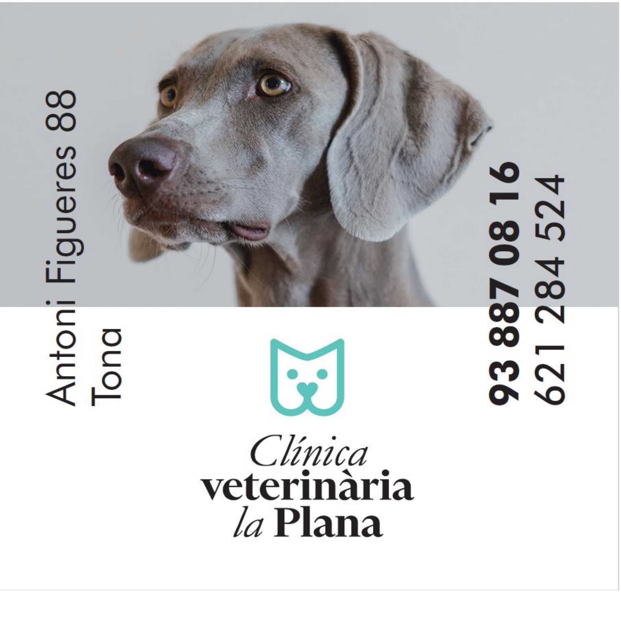 CENTRE VETERINARI LA PLANA